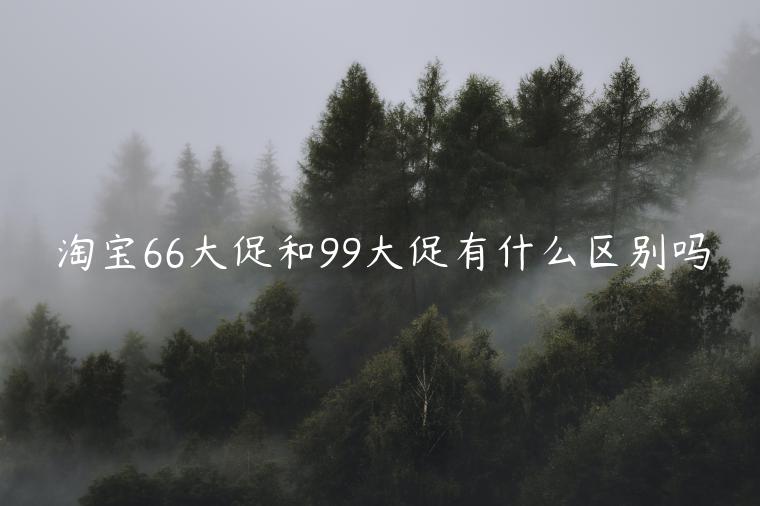 淘寶66大促和99大促有什么區(qū)別嗎